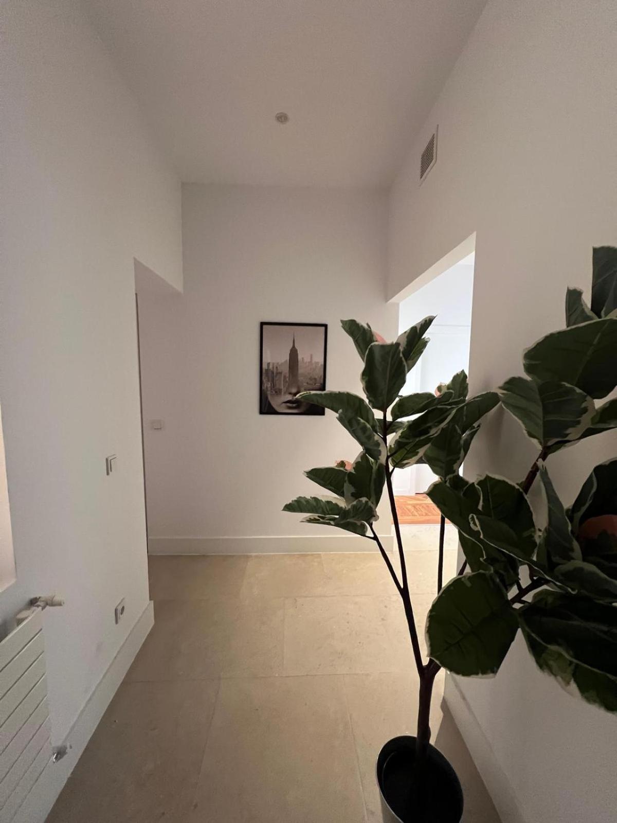 Private Rooms In Magdalena Street Madrid Luaran gambar